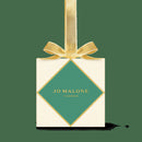 Green & Blue Ornament