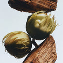 English Oak & Hazelnut Cologne